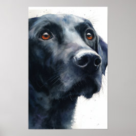 Svart labrador retriever akvarell poster