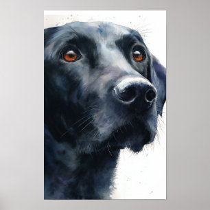 Svart labrador retriever akvarell poster