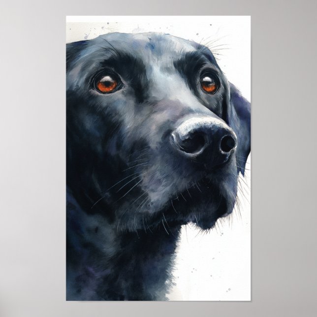 Svart labrador retriever akvarell poster (Framsidan)