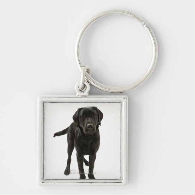 Svart labrador retriever fyrkantig silverfärgad nyckelring (Framsidan)