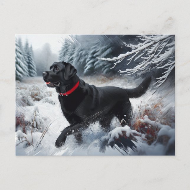 Svart Labrador Retriever Hund i Snö Postkort Vykort (Framsida)