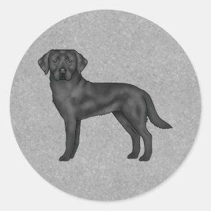 Svart Labrador Retriever Hund Söt Hund Grå Runt Klistermärke