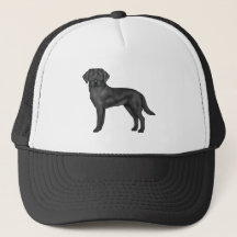 Svart Labrador Retriever Hund Svart Lab Ritning