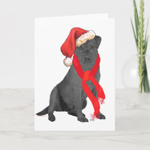 Svart Labrador Retriever Jul Helgkort