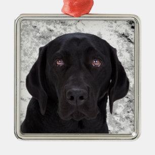 Svart Labrador Retriever Julgransprydnad Metall