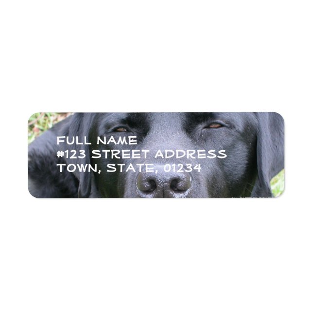 Svart Labrador Retriever-mejseletikett Returadress Etikett (Framsidan)