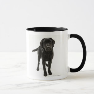 Svart labrador retriever mugg