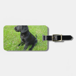 Svart Labrador Retriever På Gräs Bagagebricka