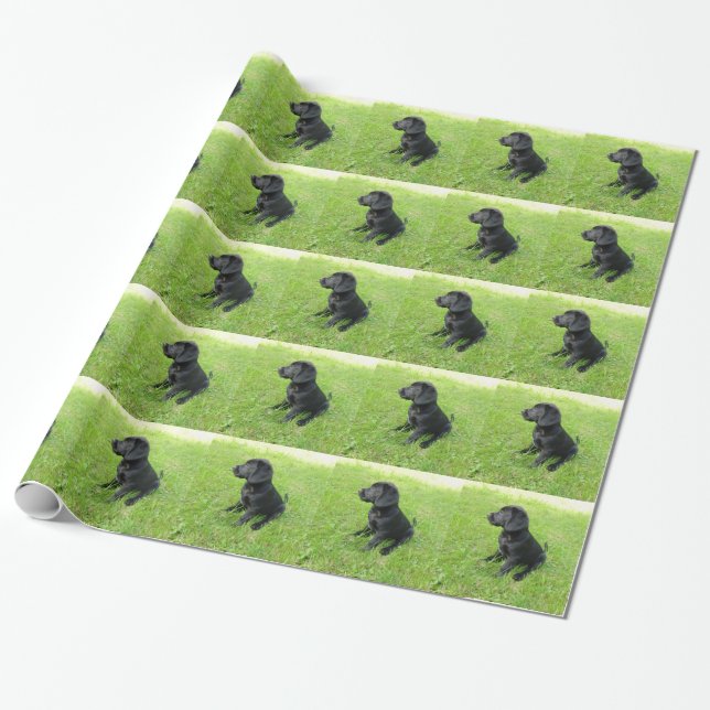 Svart Labrador Retriever På Gräs Presentpapper (Utrullad)