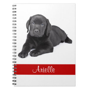 Svart labrador Retriever Personlig bärbar dator Anteckningsbok Med Spiral