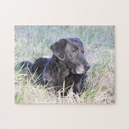 Svart Labrador Retriever Pussel