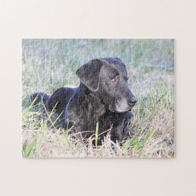 Svart Labrador Retriever Pussel (Horisontell)