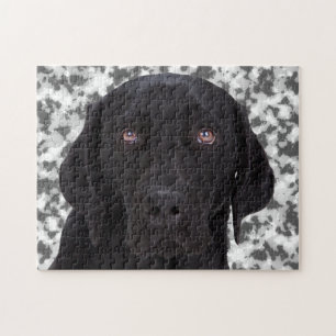 Svart Labrador Retriever Pussel