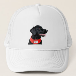 Svart Labrador Retriever som bär en röd halsband Keps