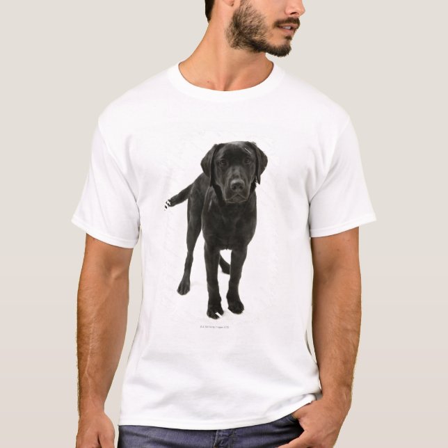 Svart labrador retriever t-shirt (Framsida)