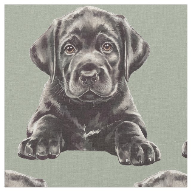 Svart Labrador Retriever  Tyg (Närbild)