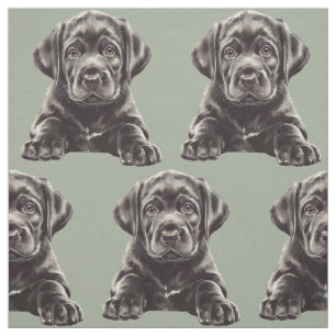 Svart Labrador Retriever  Tyg
