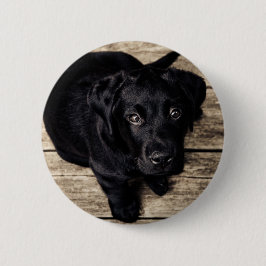 Svart Labrador Retriever Valp på Trä Knapp