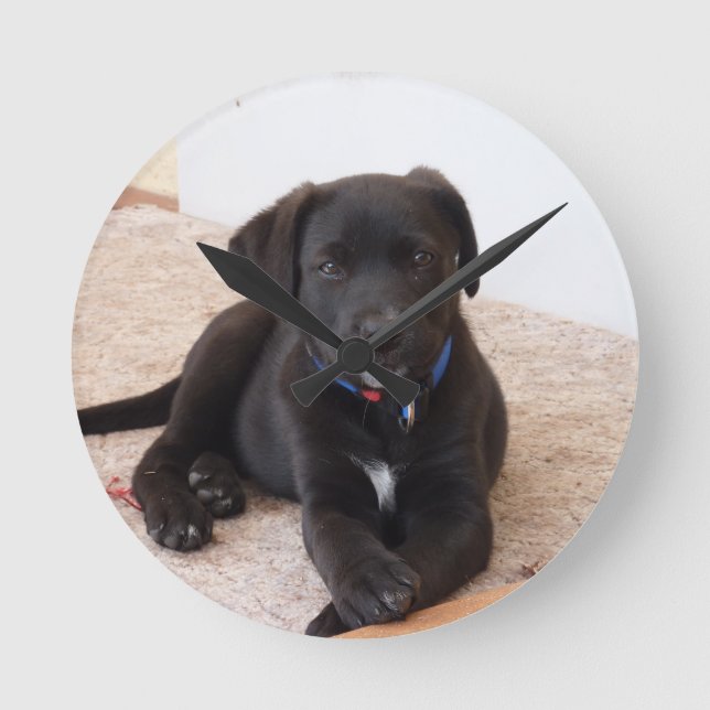 Svart Labrador Retriever Valp Rund Klocka (Framsida)