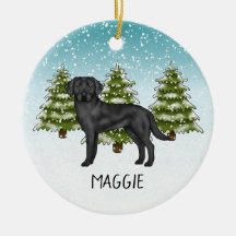 Svart Labrador Retriever Vinter Skog Anpassat Namn