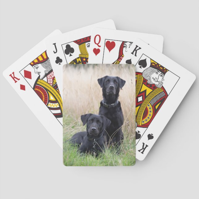 Svart Labrador som leker kort Casinokort (Baksidan)