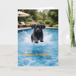Svart Labrador-valp dyker i poolen | Mysig sommar Kort
