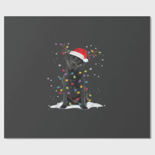 Svart Labrador Xmas Hund Julgran Ljuskälla Klass Presentpapper