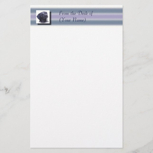 Svart Labradore som är stationär - från (Framsida)