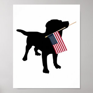 Svart labradorhund som håller USA:s patriotiska fl Poster