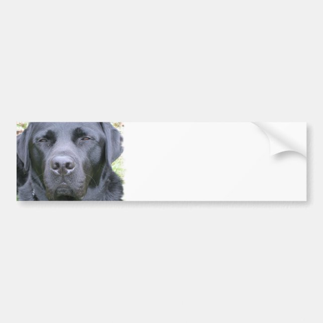 Svart Labradors Retriever Hunddekal Bildekal (Framsidan)