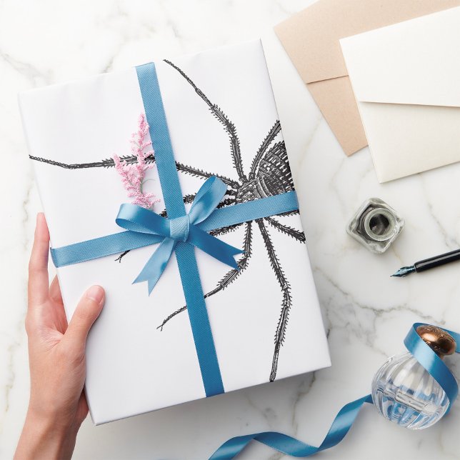 Svart långbent spindel Kuslig spindeldjur Presentpapper (Skapare uppladdad)