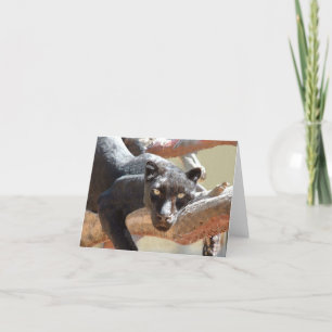 Svart Leopard Kort