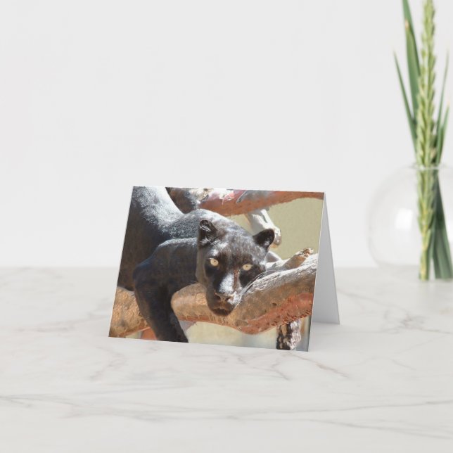 Svart Leopard Kort (Framsida)