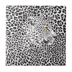 Svart leopard på spisar kakelplatta
