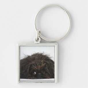Svart ljuga för den Pekingese hunden besegrar Fyrkantig Silverfärgad Nyckelring