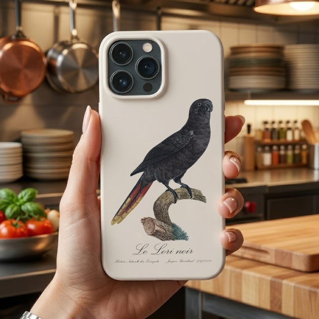 Svart lorikit eller Svart lori, Chalcopsitta atra (Black Lory or Red-Quilled Lory, Chalcopsitta atra. iPhone Case)