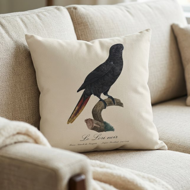 Svart lorikit eller Svart lori, Chalcopsitta atra Kudde (Black Lory or Red-Quilled Lory, Chalcopsitta atra. Throw Pillow)