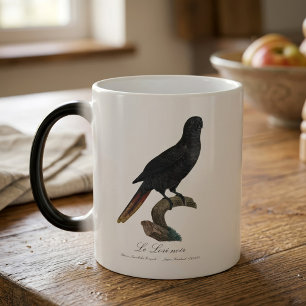 Svart lorikit eller Svart lori, Chalcopsitta atra Magisk Mugg