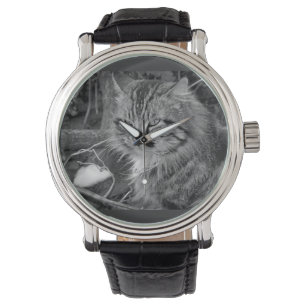 Svart Maine Coon Katt Armbandsur