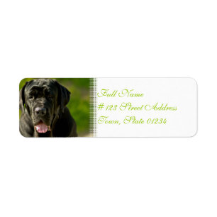 Svart Mastiff-mejseletiketter Returadress Etikett