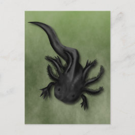 Svart Melanoid Axolotl Konst Vykort
