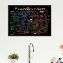 Svart Metabolisk väg i cellen