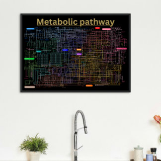 Svart Metabolisk väg i cellen Poster