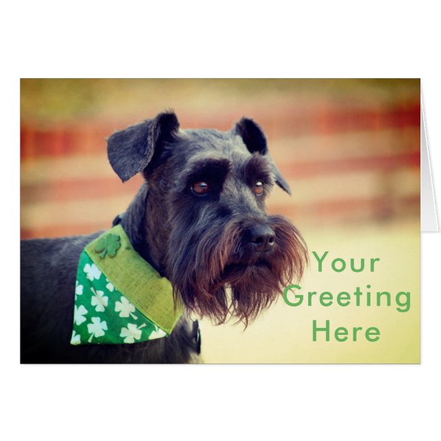 Svart miniatyrSchnauzer Hälsningskort (Framsidan Horizontal)