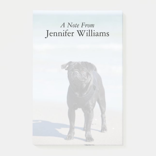 Svart mopsanseende på stranden post-it block (Framsida)