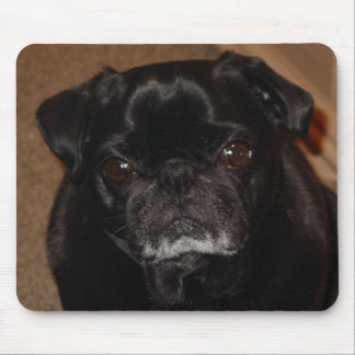 Svart mopsmugg Mousepad Musmatta