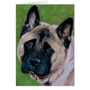 svart mot akita hund som säger synd hälsningskort
