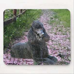 Svart Mousepad för pudel lila blommor Musmatta