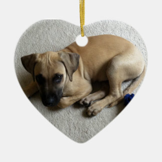 Svart-mun byrackavalp med blåttleksaken julgransprydnad keramik