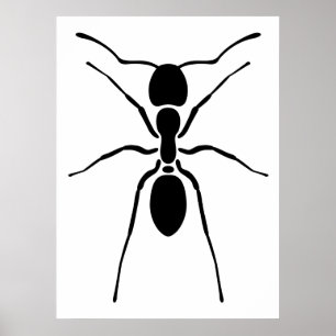 Svart myraaffisch poster